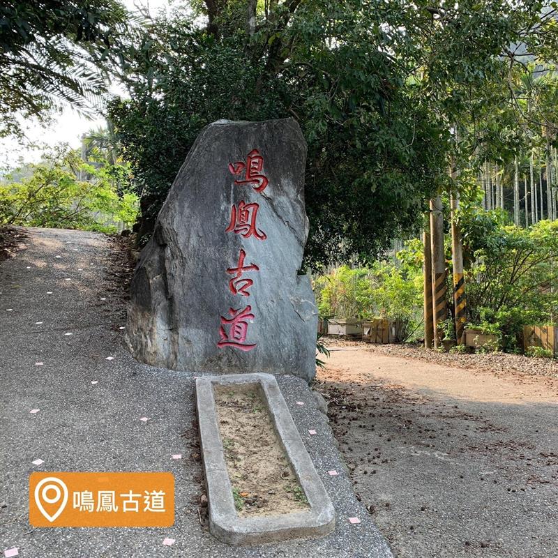 獅潭在地小旅行-鳴鳳古道慢慢行,藏山椿工坊